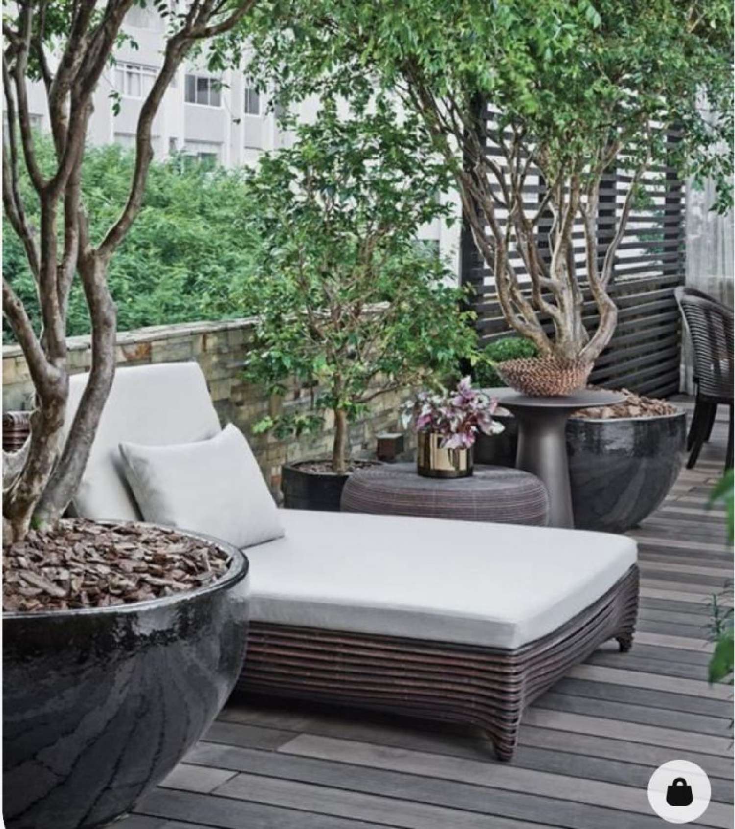  te koop appartement Tassin-la-Demi-Lune Rhône 2