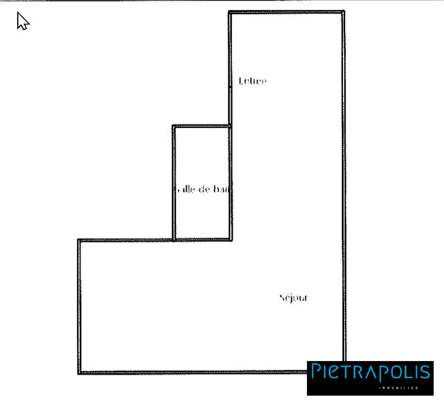  à vendre appartement Terrenoire Loire 7