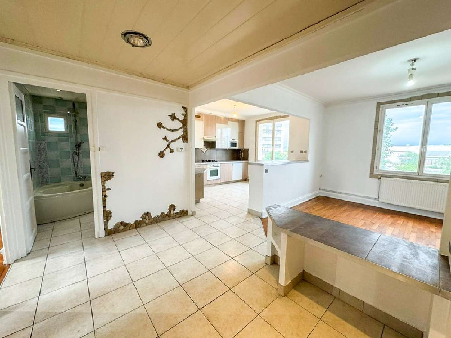  en venta apartamento Villeurbanne Rhône 2
