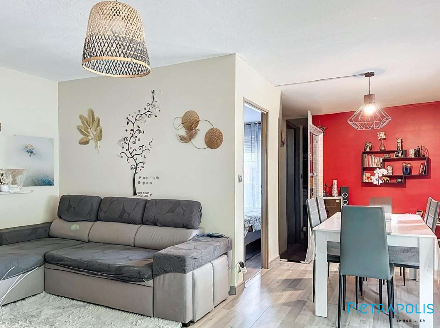  te koop appartement Villeurbanne Rhône 3