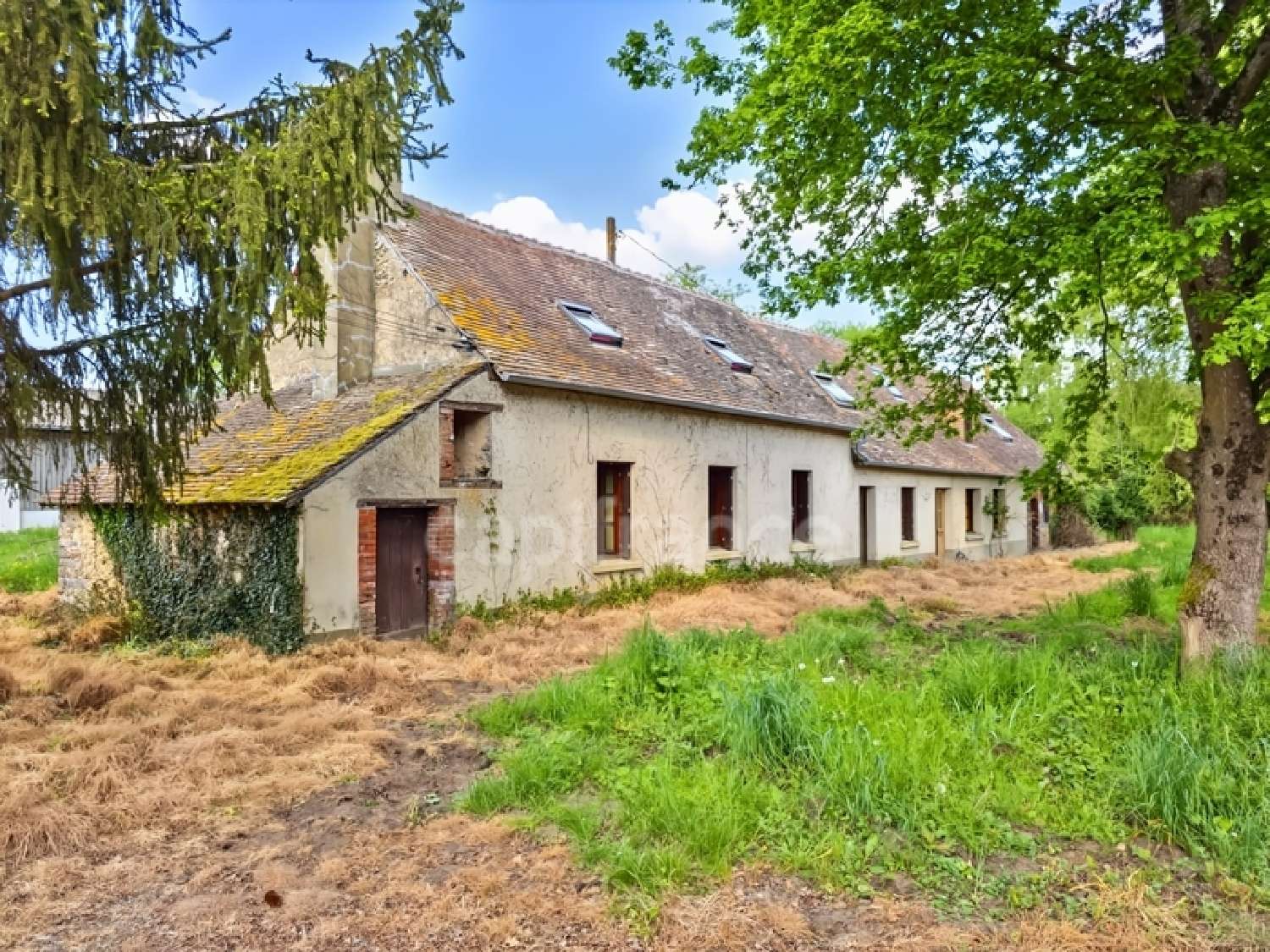  à vendre maison Changé Sarthe 4