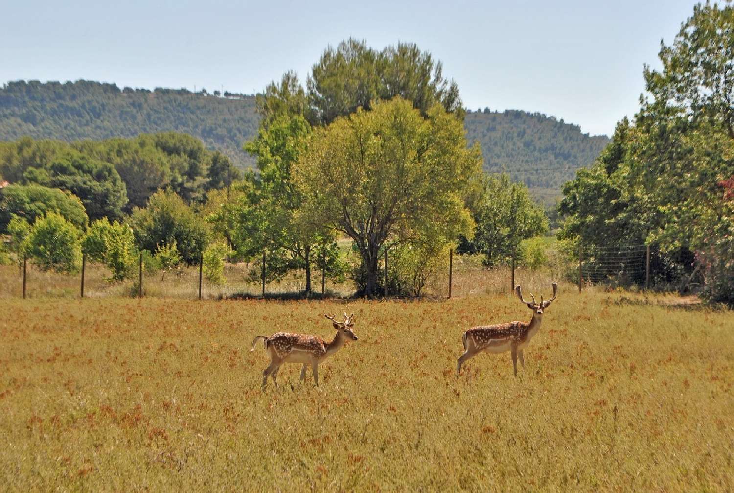 en venta castillo Aix-en-Provence Bocas del Ródano 2