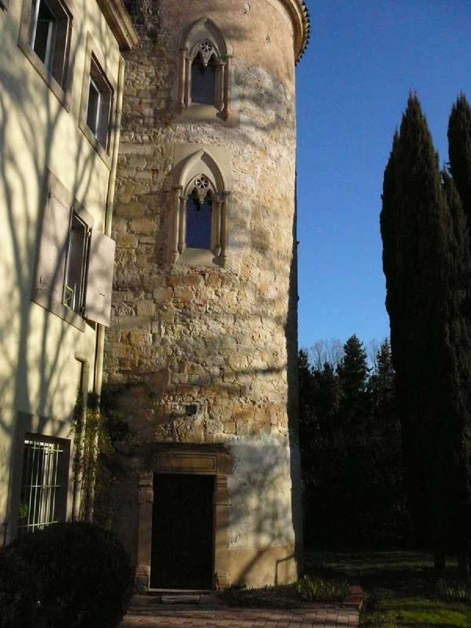 en venta castillo Castres Tarn 4