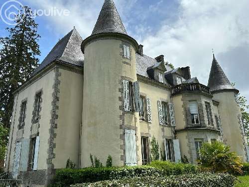 La Roche-sur-Yon Vendée kasteel foto 7059958