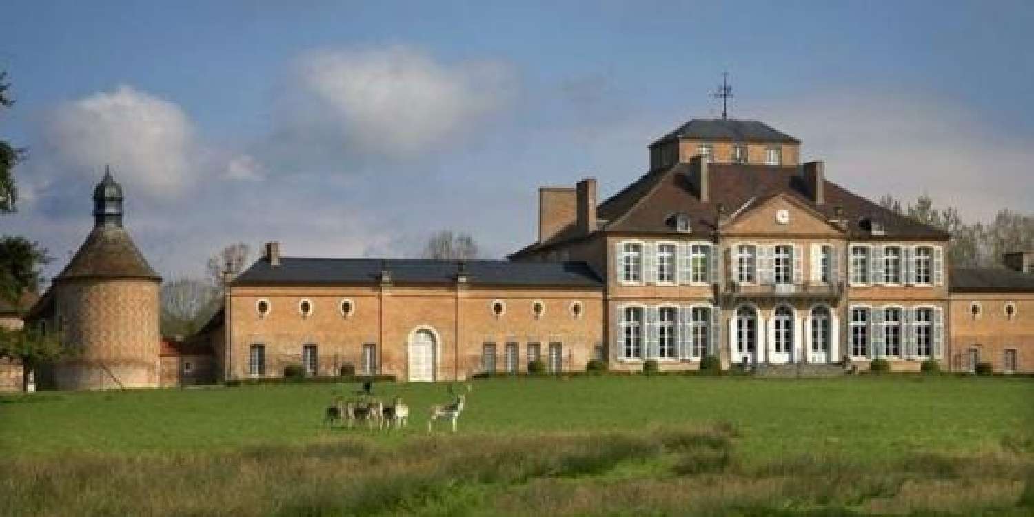  for sale castle Moulins Allier 1
