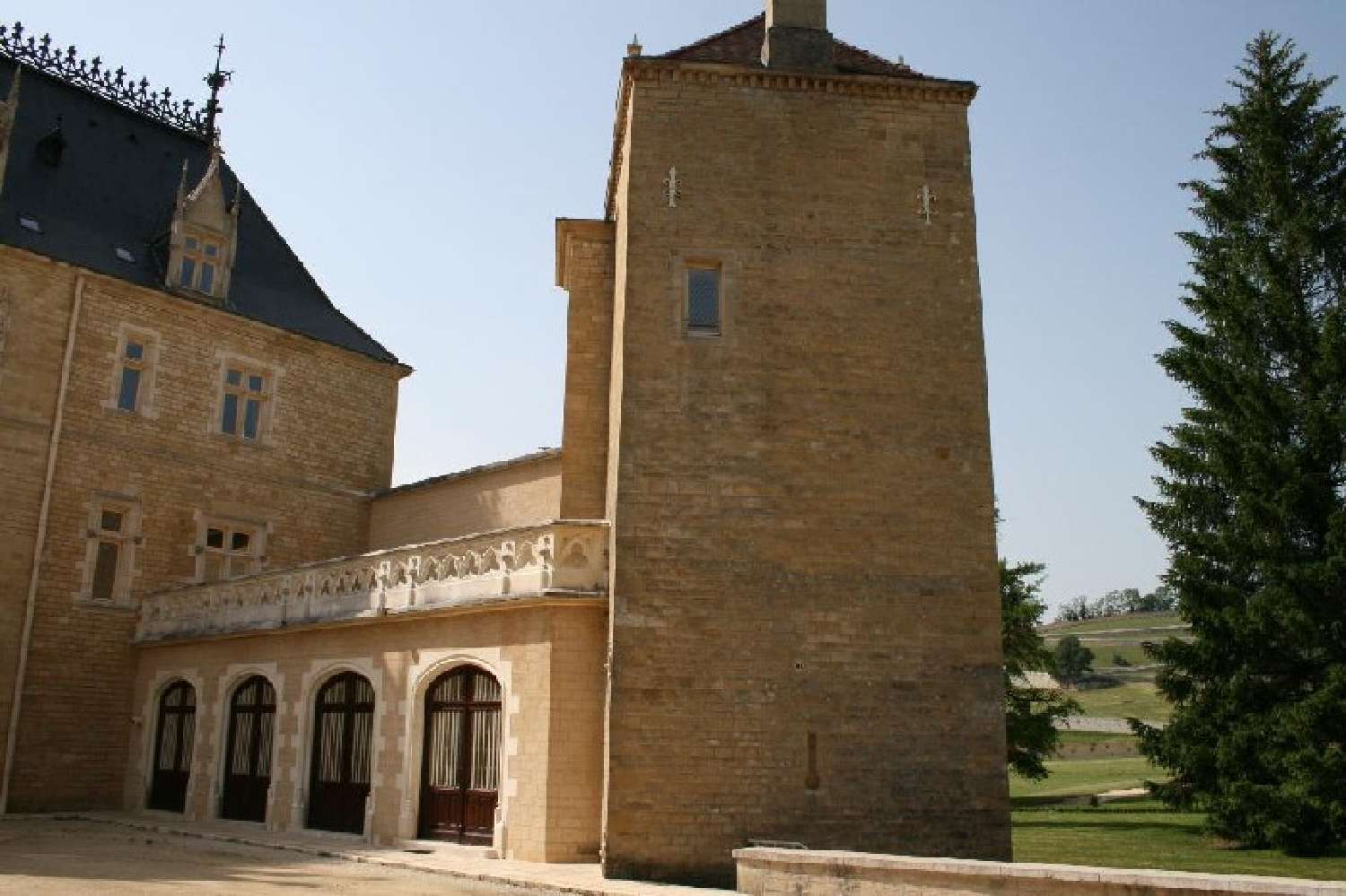  for sale castle Oyonnax Ain 5