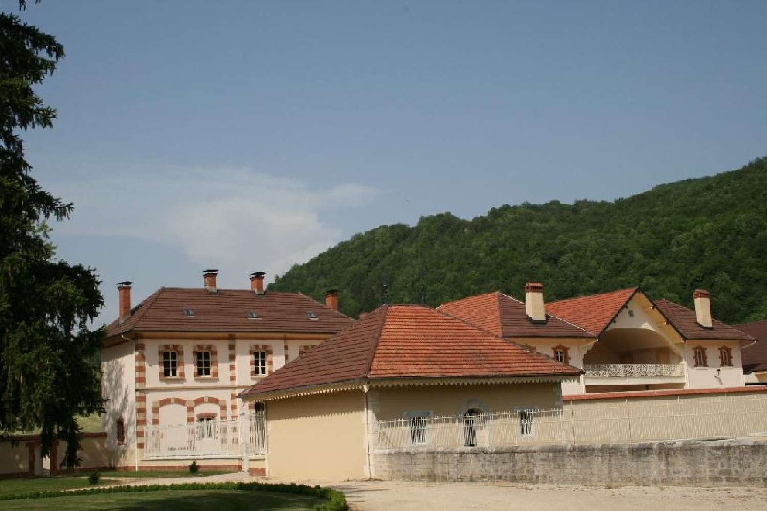  for sale castle Oyonnax Ain 8