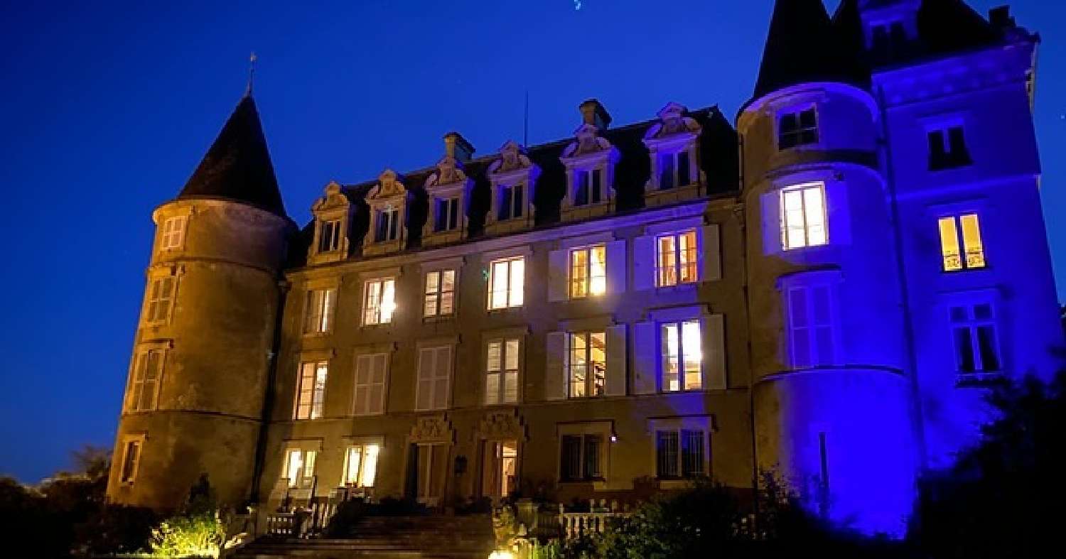  for sale castle Sancerre Cher 3