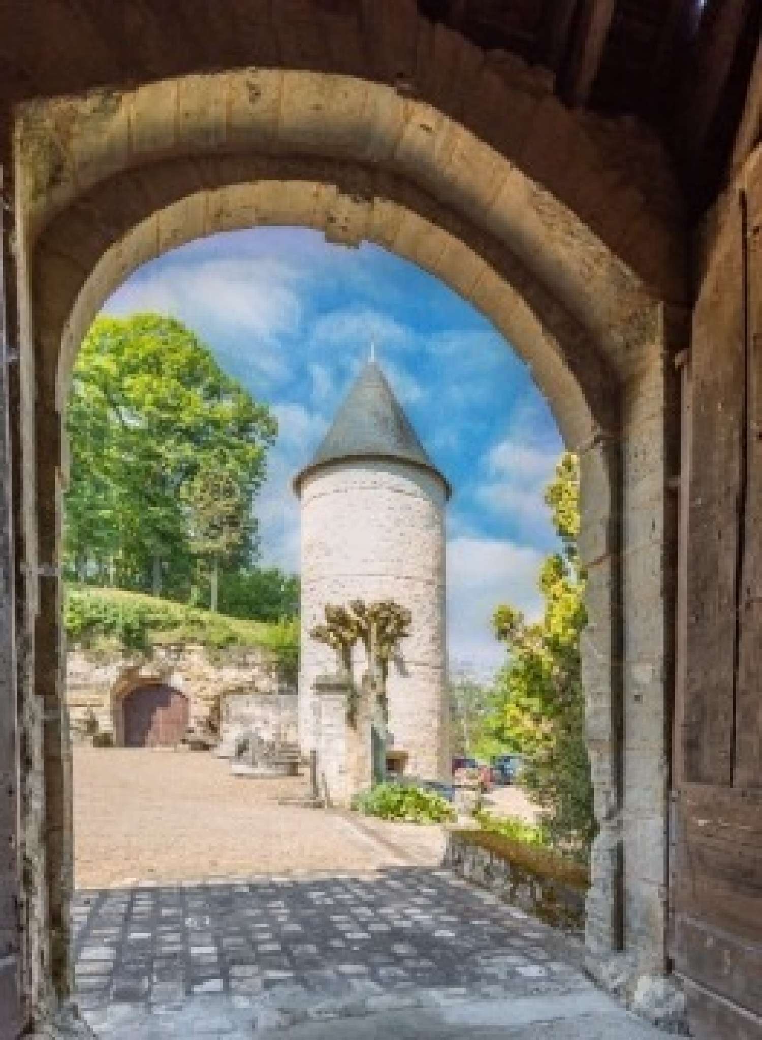  for sale castle Tours Indre-et-Loire 5