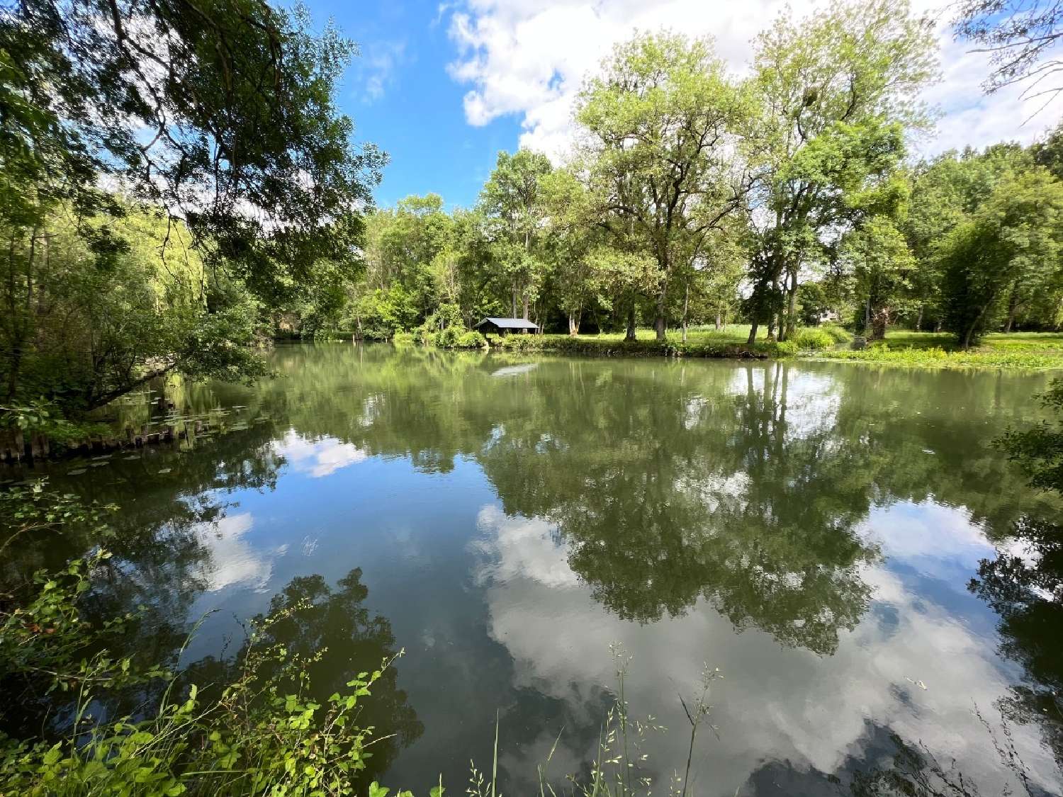  for sale castle Tours Indre-et-Loire 1