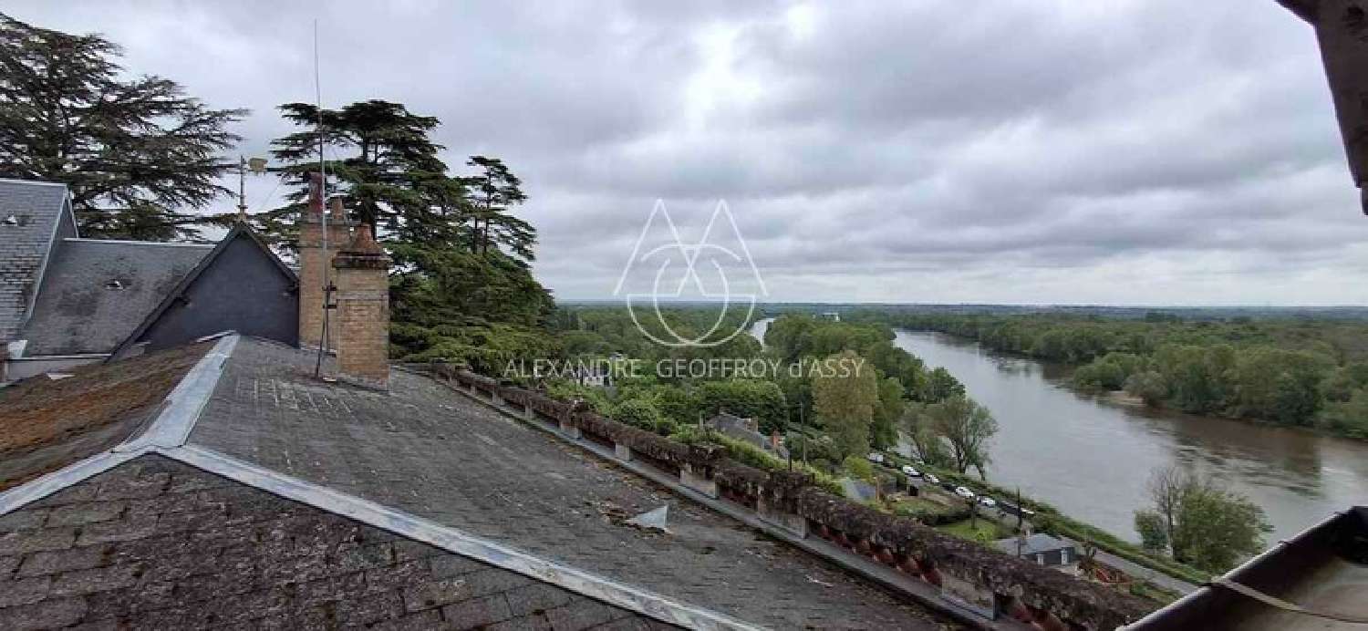  for sale castle Tours Indre-et-Loire 5