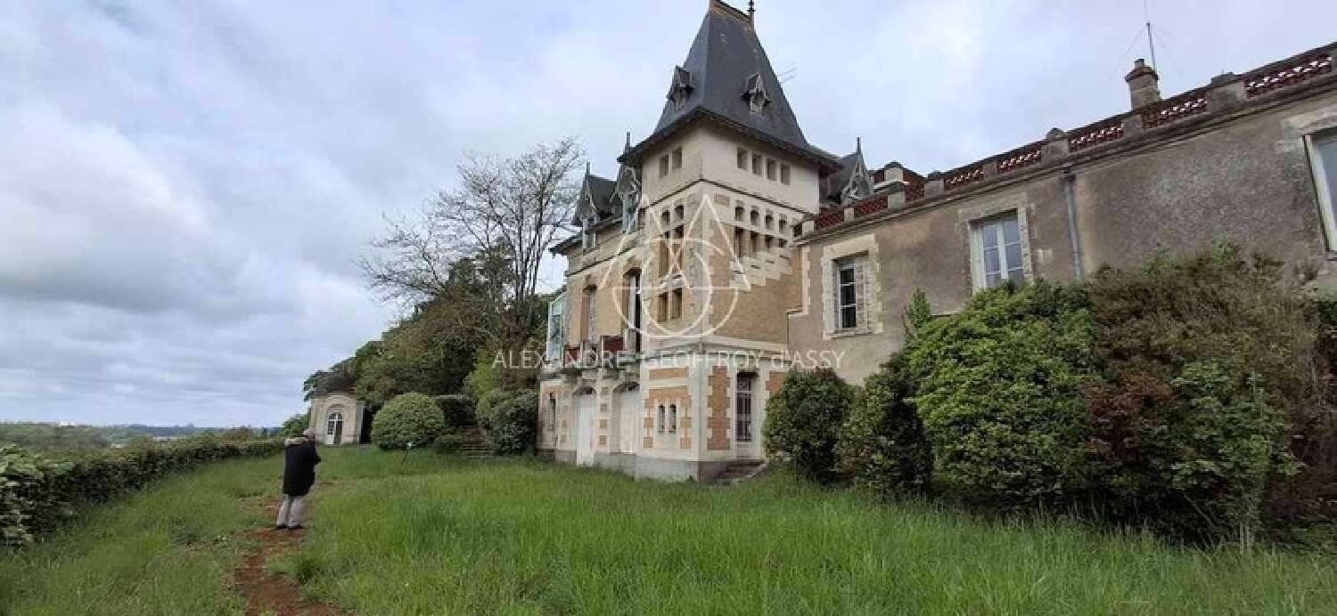  for sale castle Tours Indre-et-Loire 6