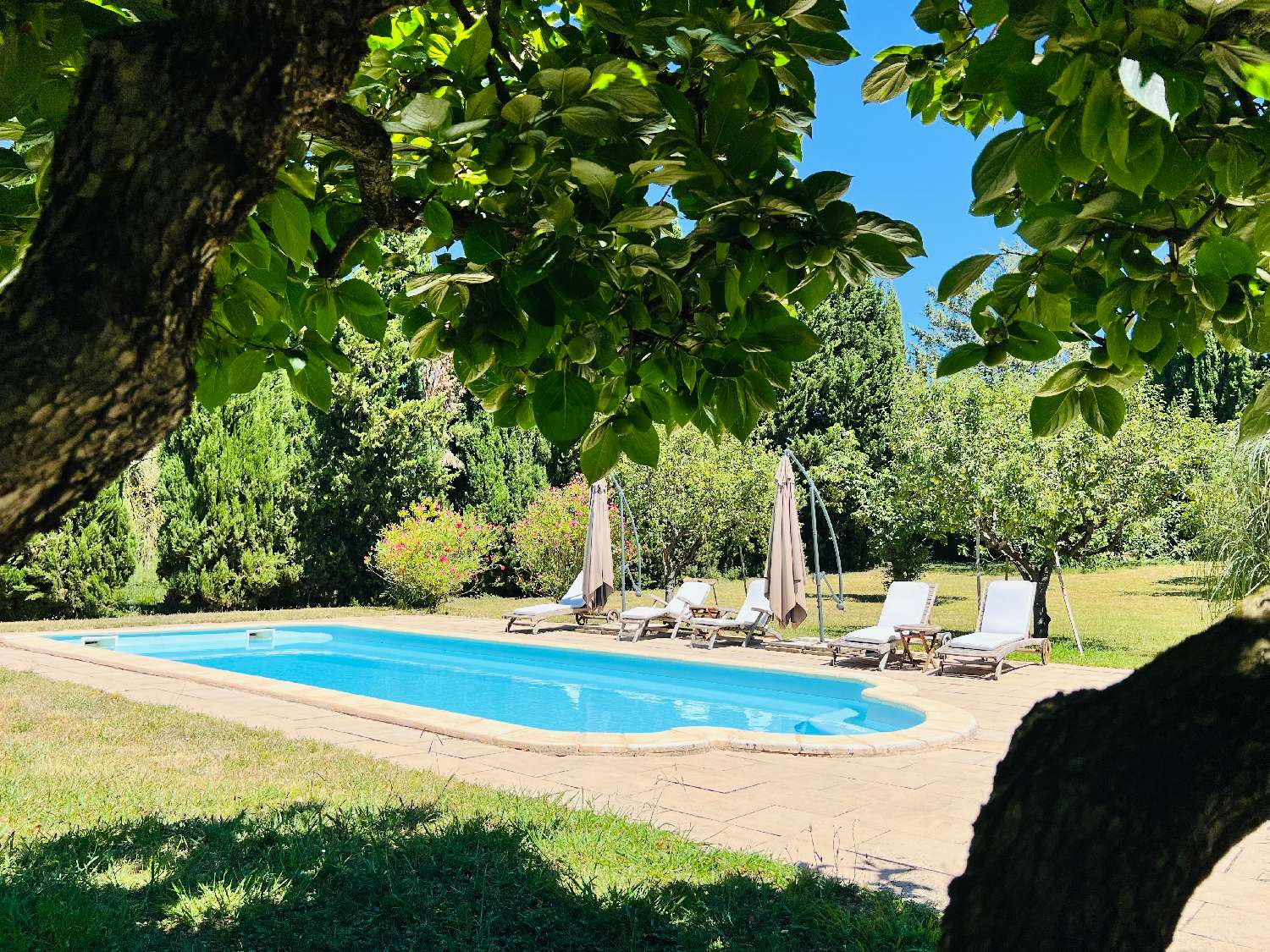  en venta casa urbana Carcassonne Aude 1