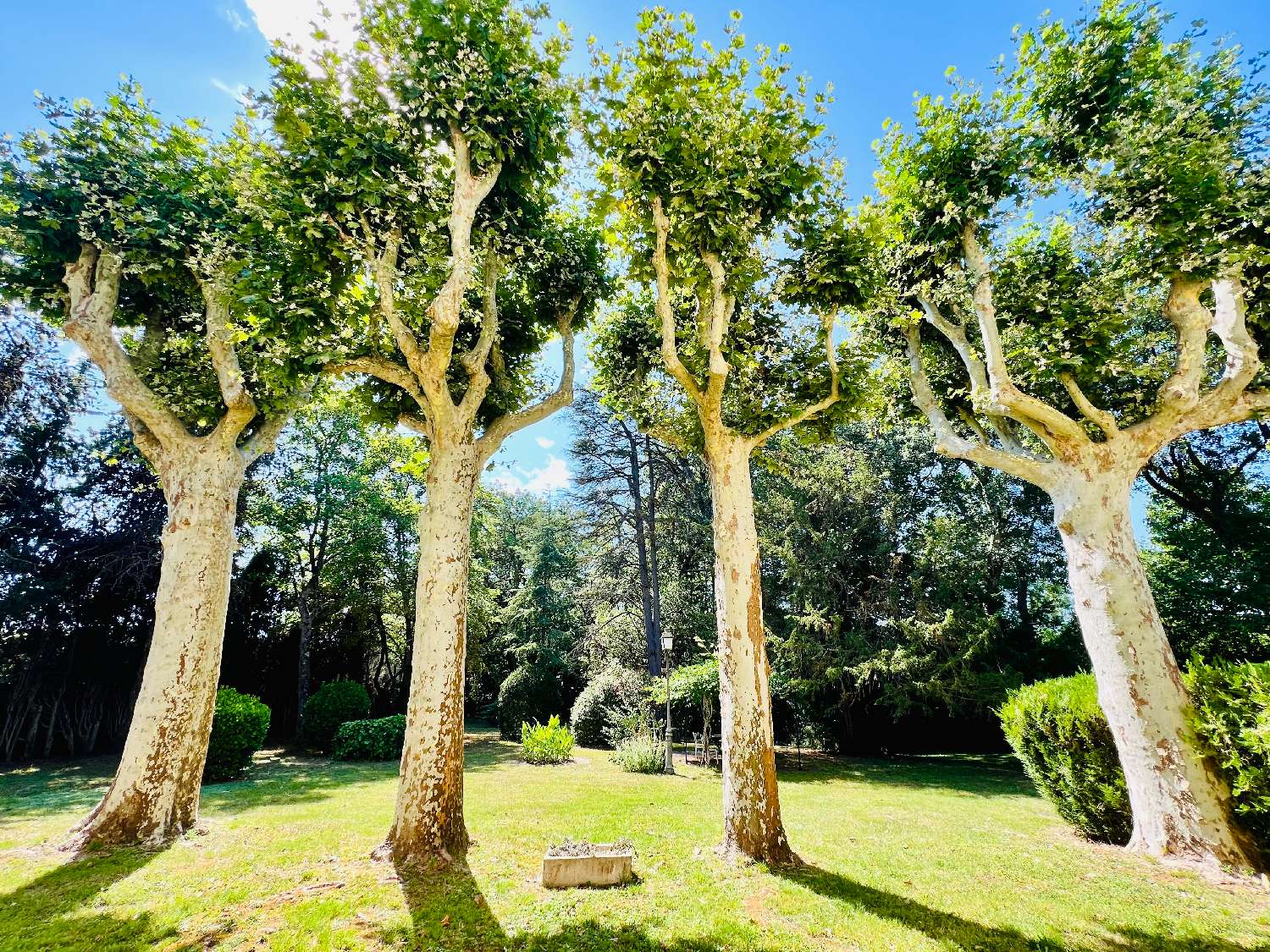  en venta casa urbana Carcassonne Aude 4