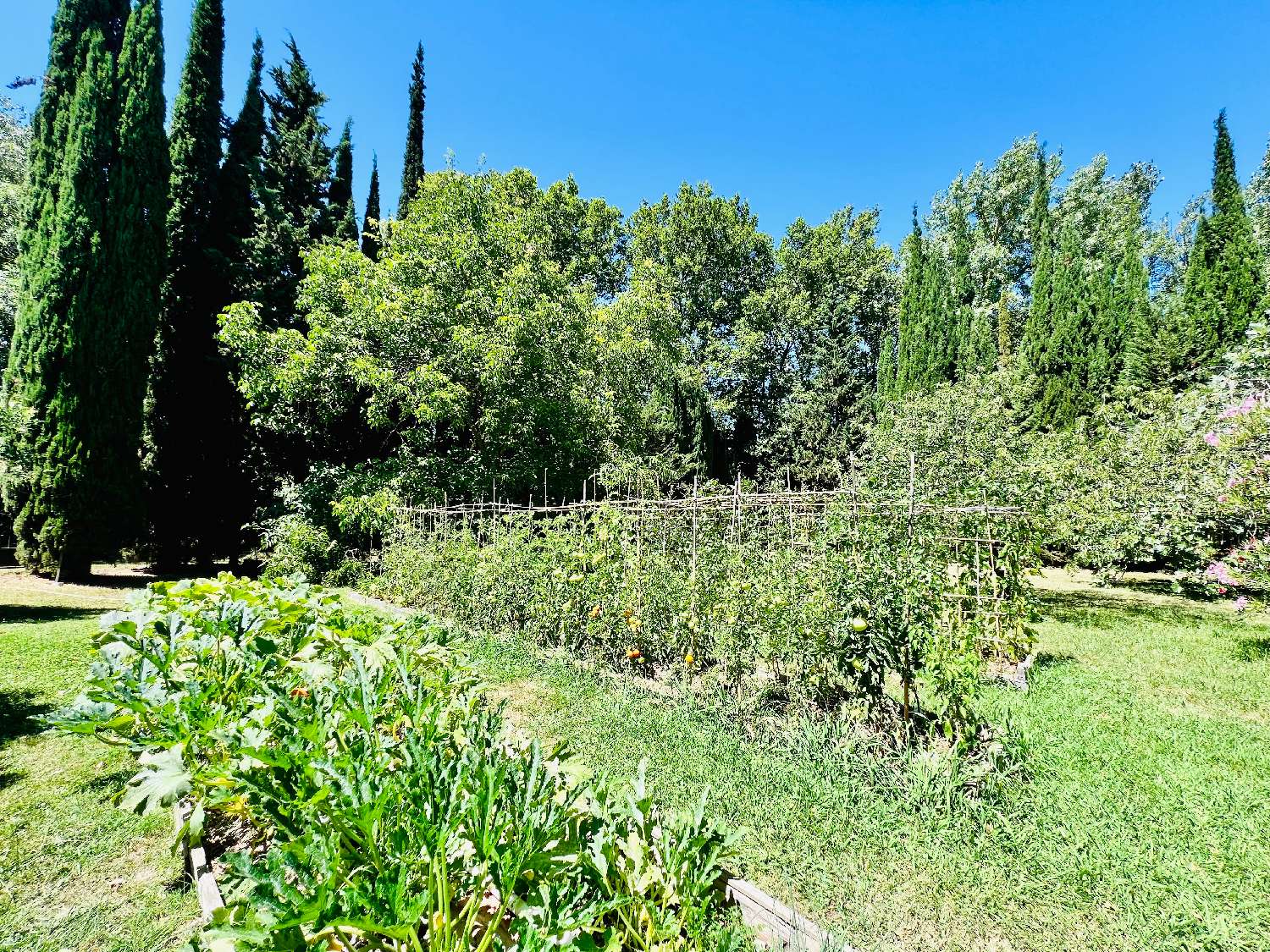  en venta casa urbana Carcassonne Aude 7