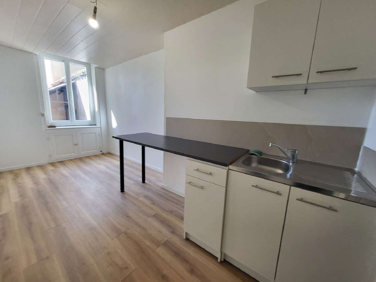  te koop bedrijfsruimte/ kantoor Pont-de-Vaux Ain 2