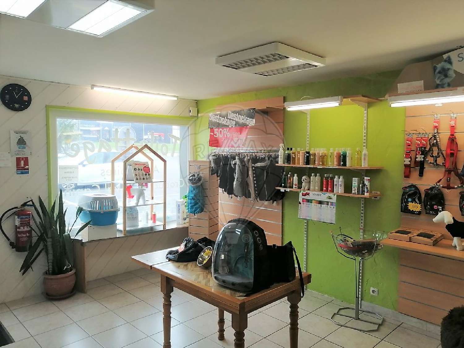  te koop bedrijfsruimte/ kantoor Royan Charente-Maritime 2