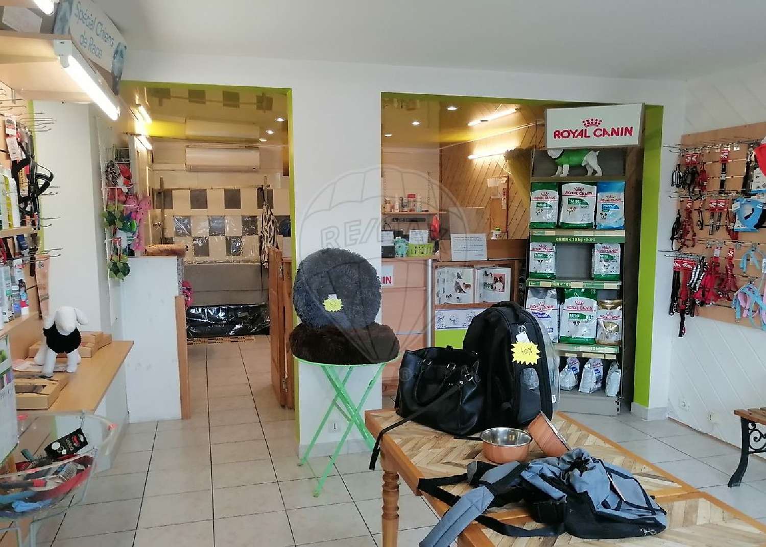  te koop bedrijfsruimte/ kantoor Royan Charente-Maritime 3