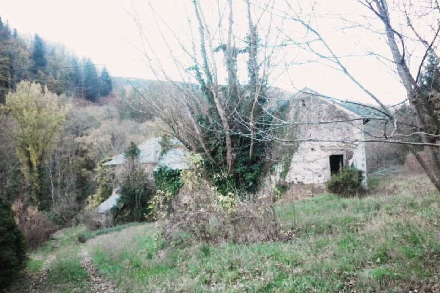  te koop landgoed Alban Tarn 2