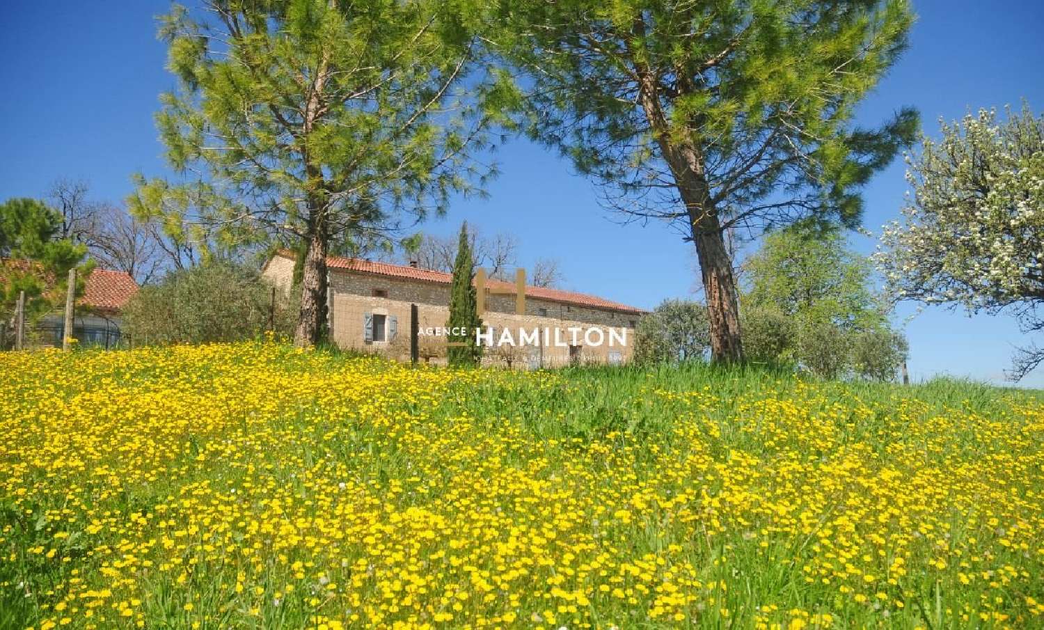  à vendre propriété Senouillac Tarn 3