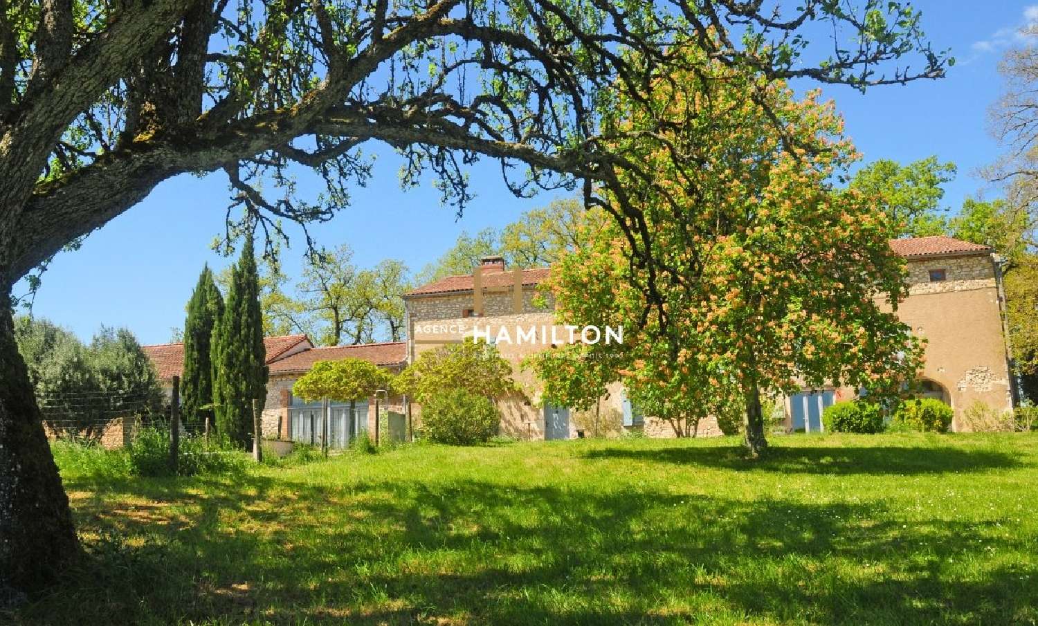  à vendre propriété Senouillac Tarn 4