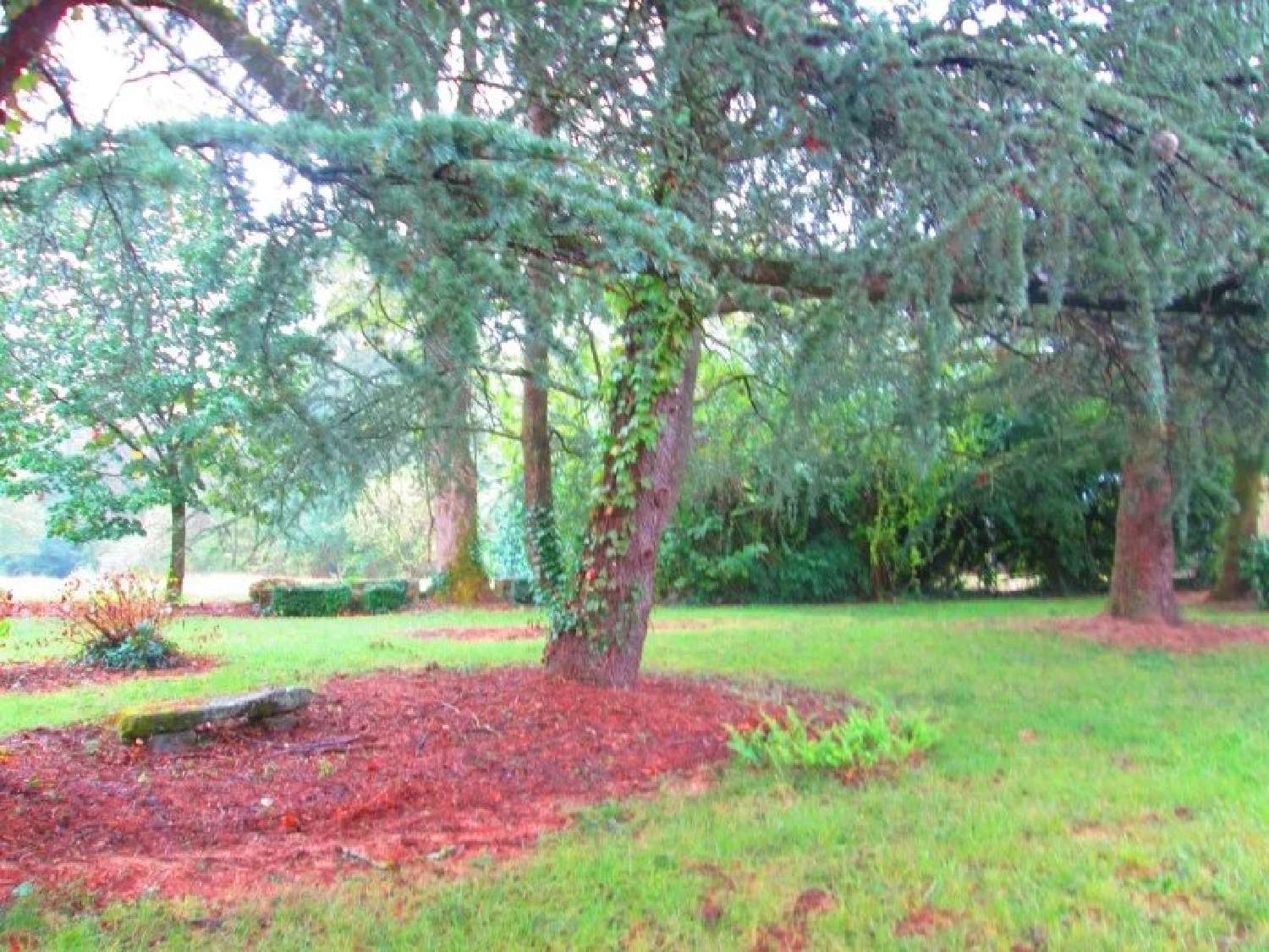  en venta finca rústica Castres Tarn 5