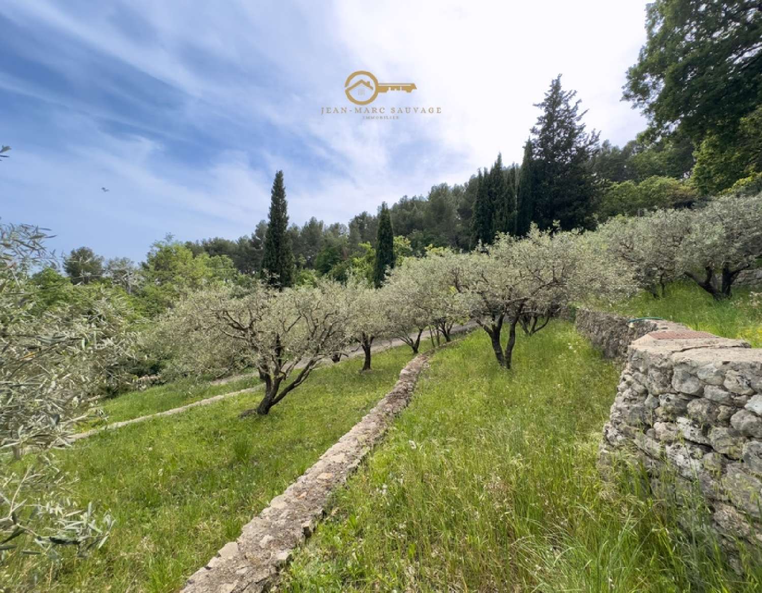  en venta finca rústica Fayence Var 8