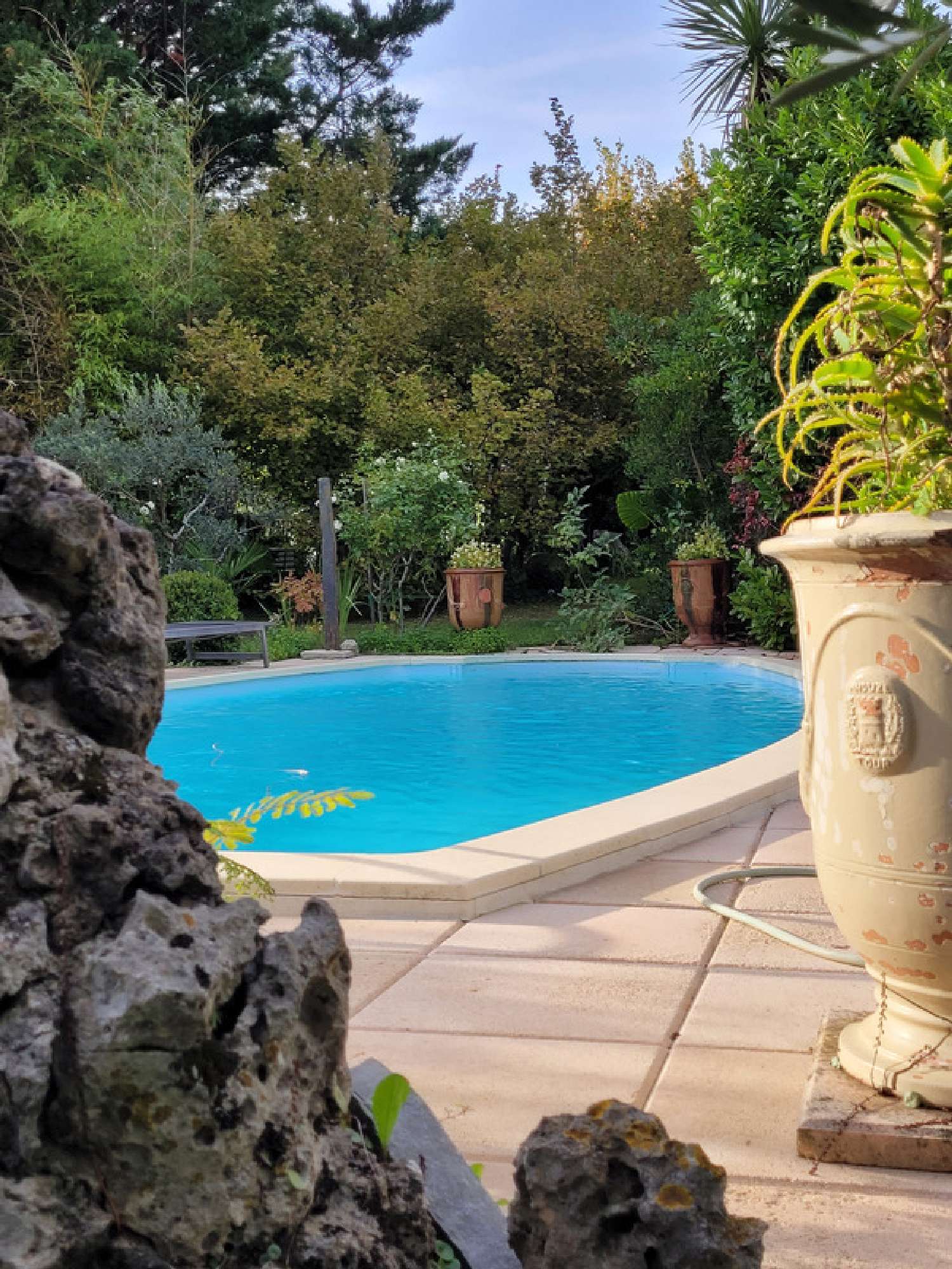  à vendre propriété Laroque Hérault 3