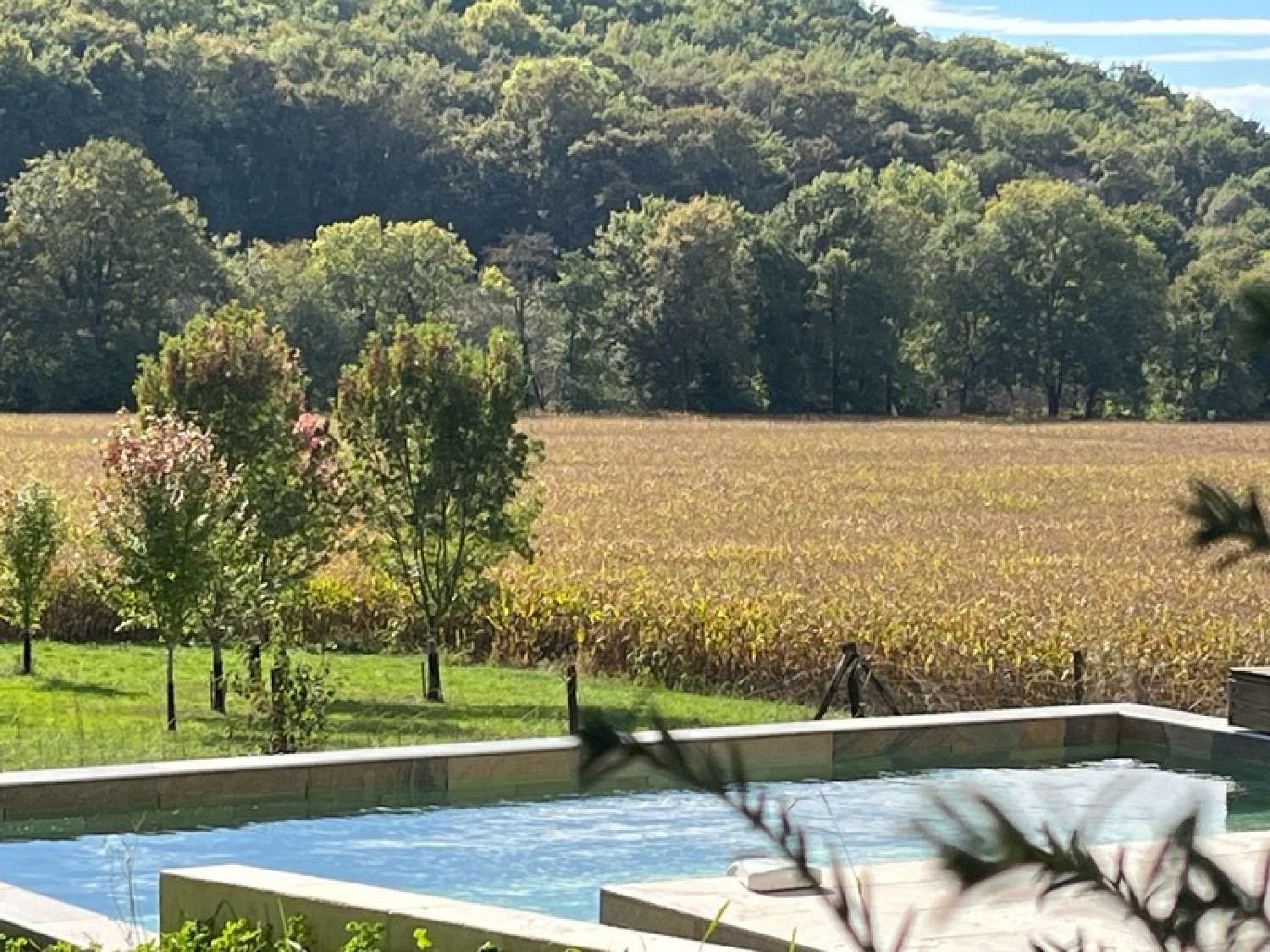  à vendre propriété Marciac Gers 3