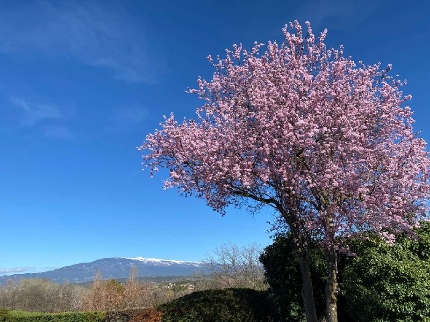  en venta finca rústica Mazan Vaucluse 5