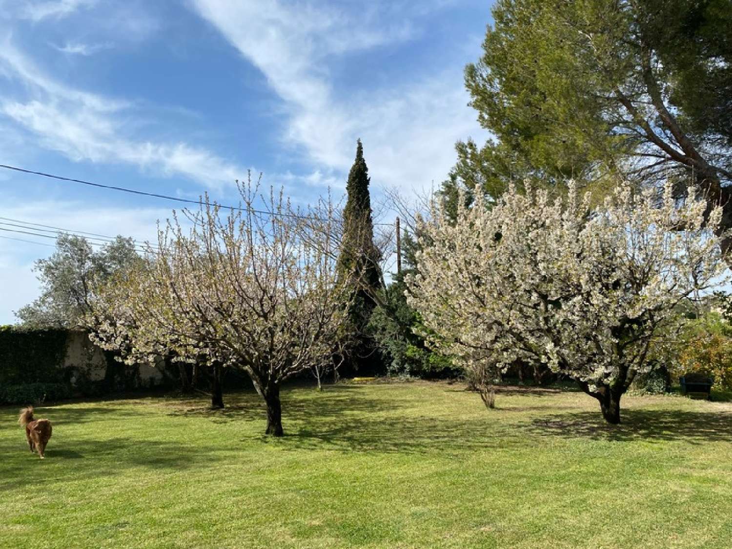  en venta finca rústica Mazan Vaucluse 6