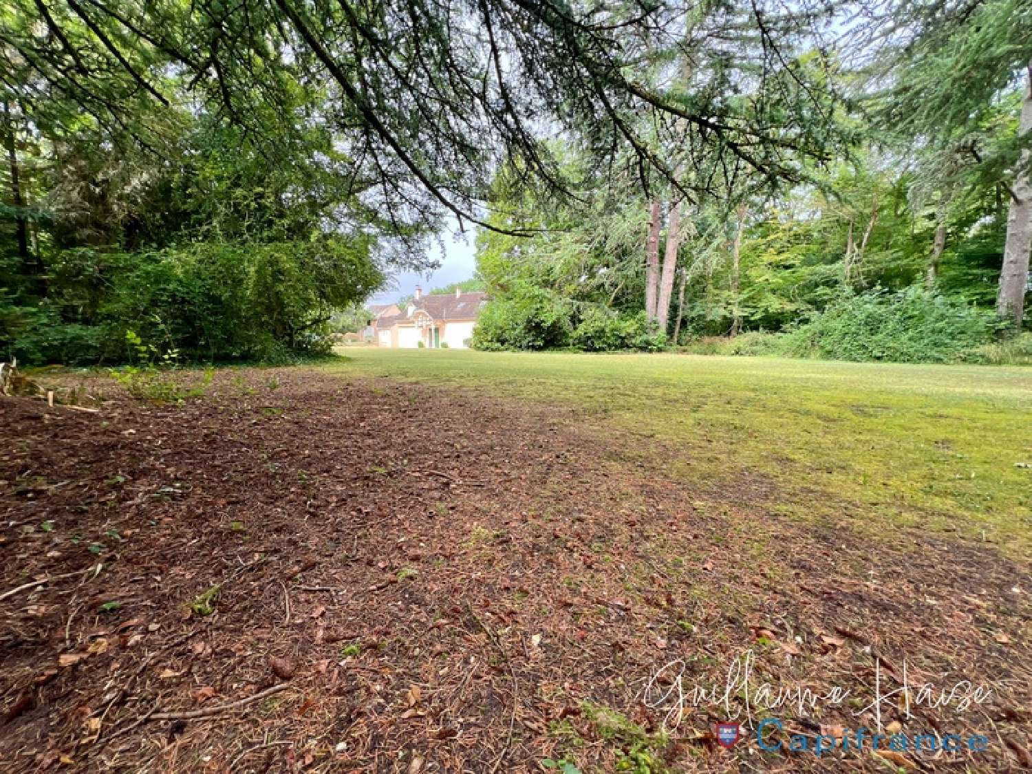  for sale estate Niherne Indre 4