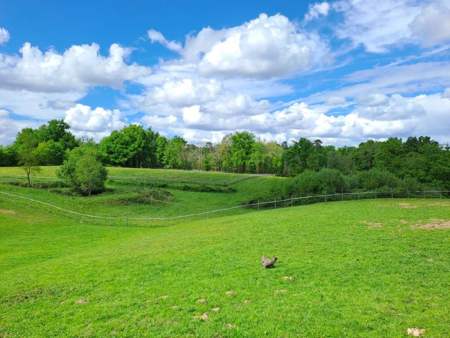  te koop landgoed Saint-André-de-Cubzac Gironde 3