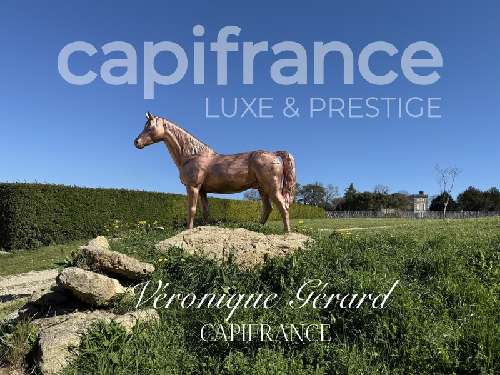 Saint-Christophe-des-Bardes Gironde landgoed foto 7060578