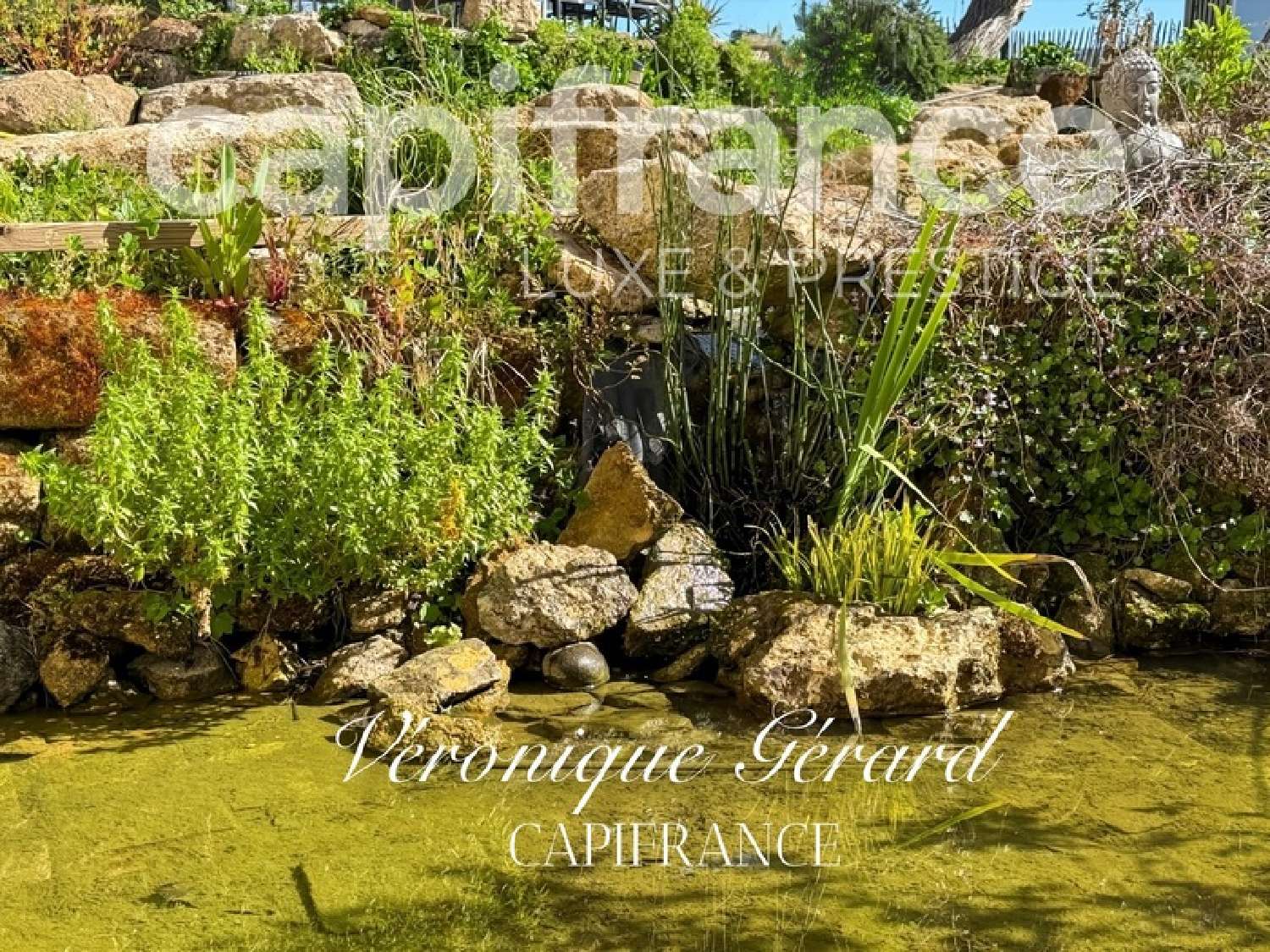  te koop landgoed Saint-Christophe-des-Bardes Gironde 3