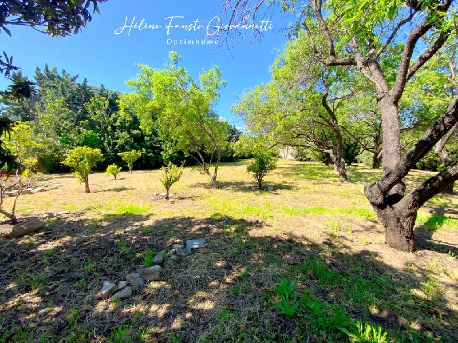  te koop landgoed Saint-Florent Haute-Corse 4