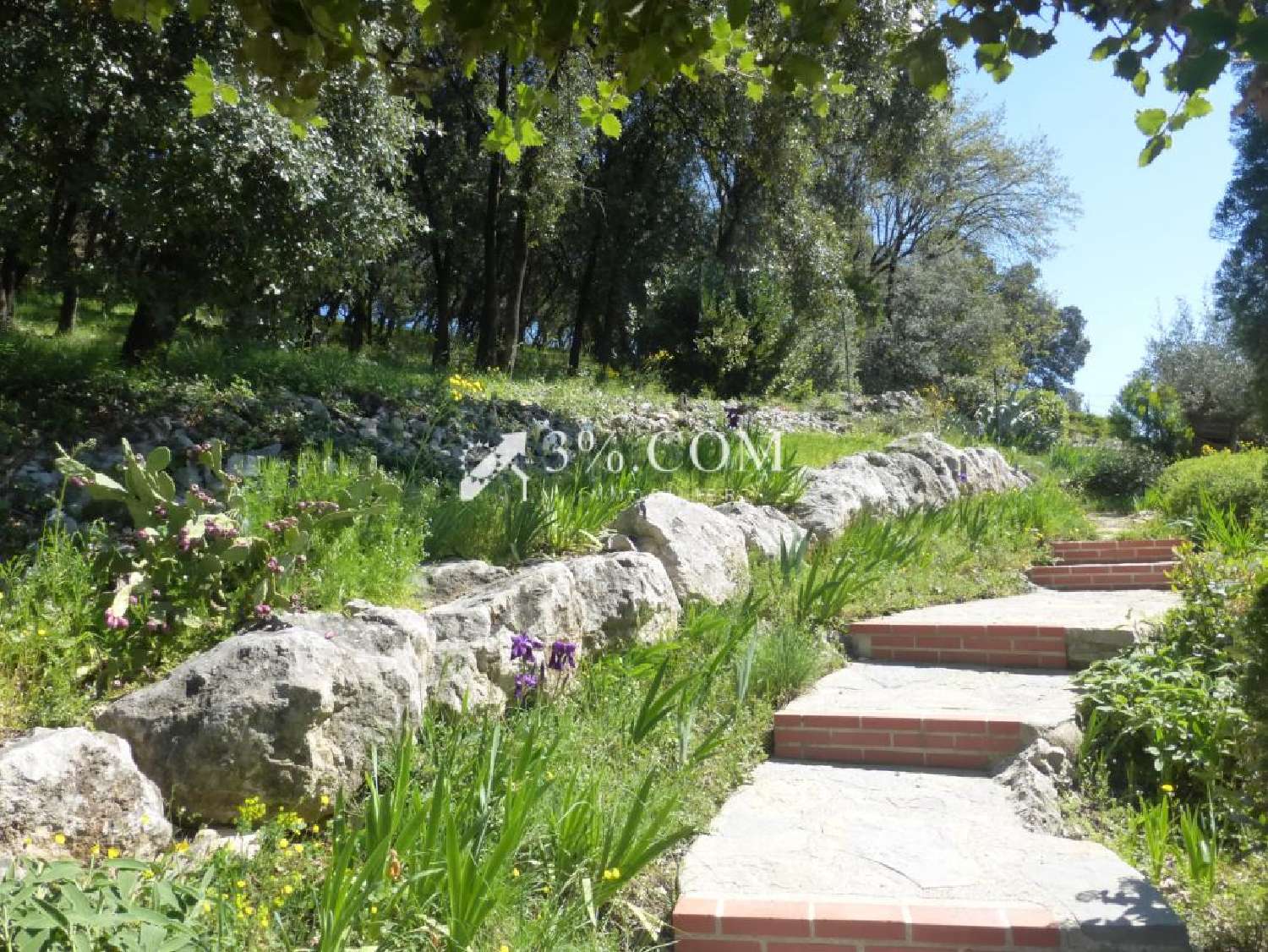  en venta finca rústica Saint-Privat-des-Vieux Gard 3