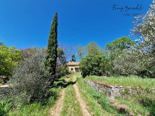 Saint-Zacharie Var propriété foto 7060586