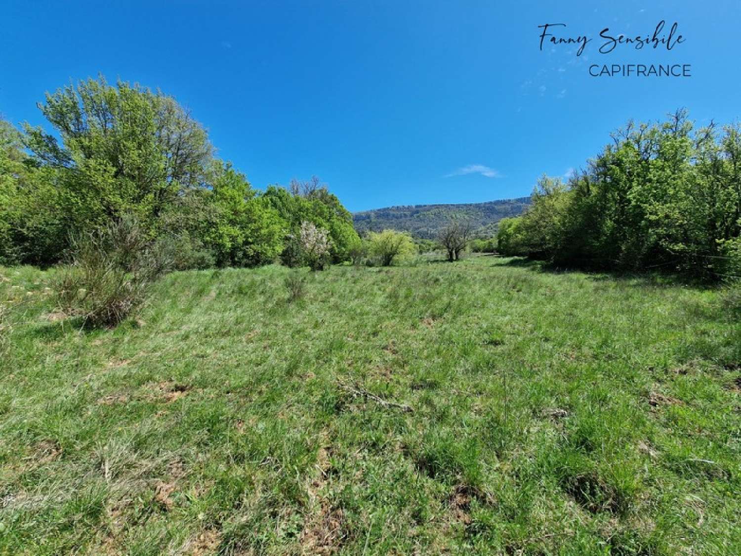  à vendre propriété Saint-Zacharie Var 2