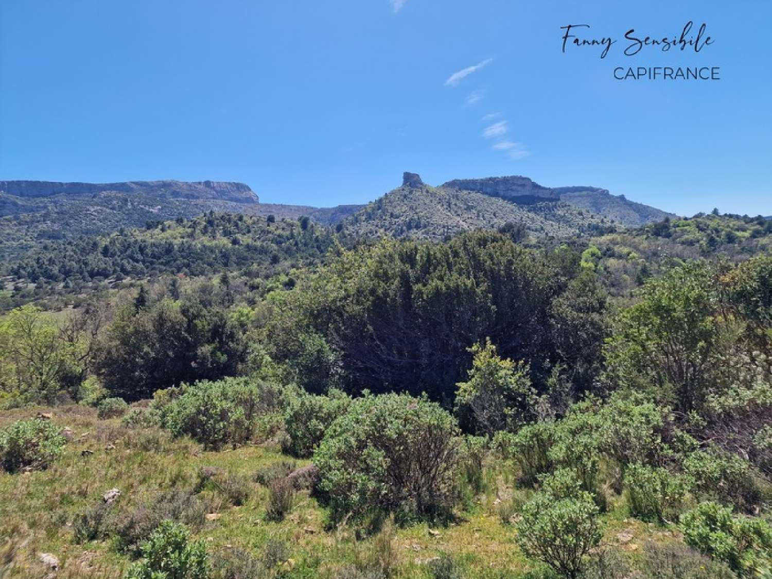  à vendre propriété Saint-Zacharie Var 3
