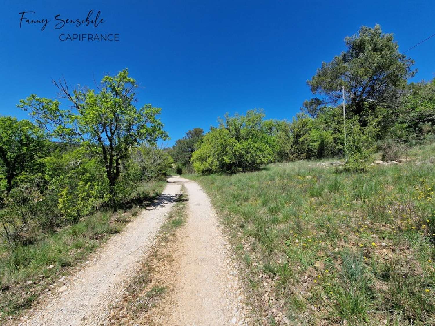  à vendre propriété Saint-Zacharie Var 4