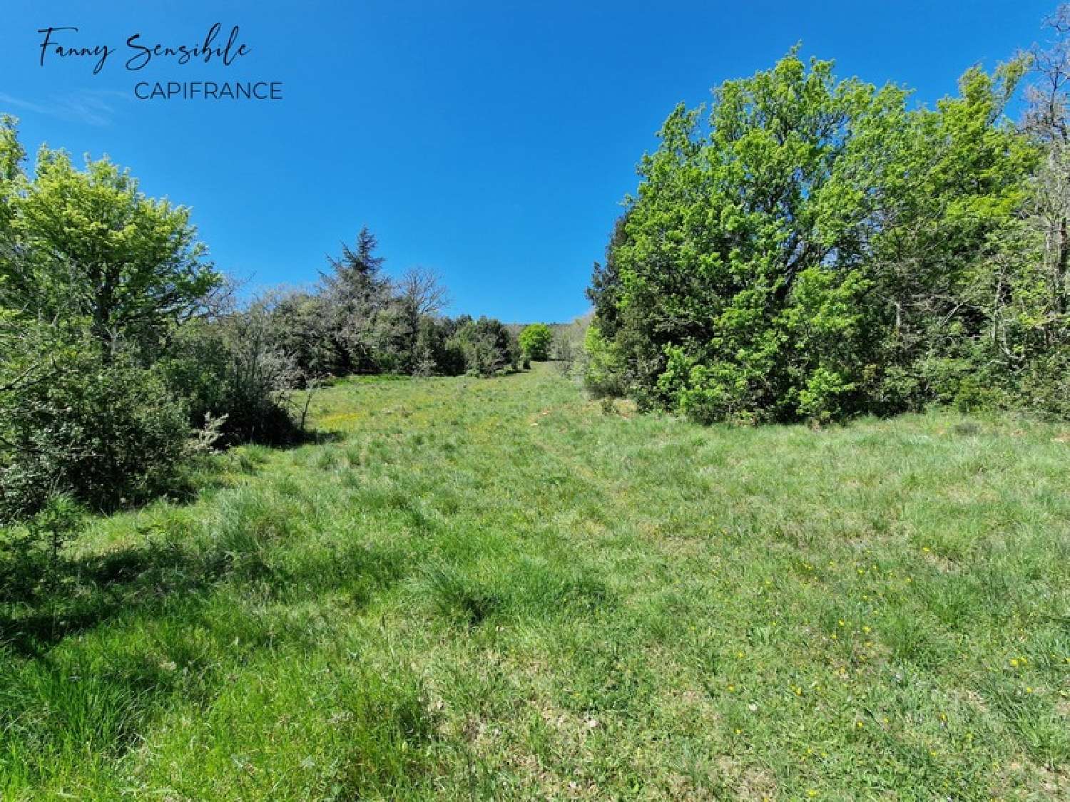  à vendre propriété Saint-Zacharie Var 8