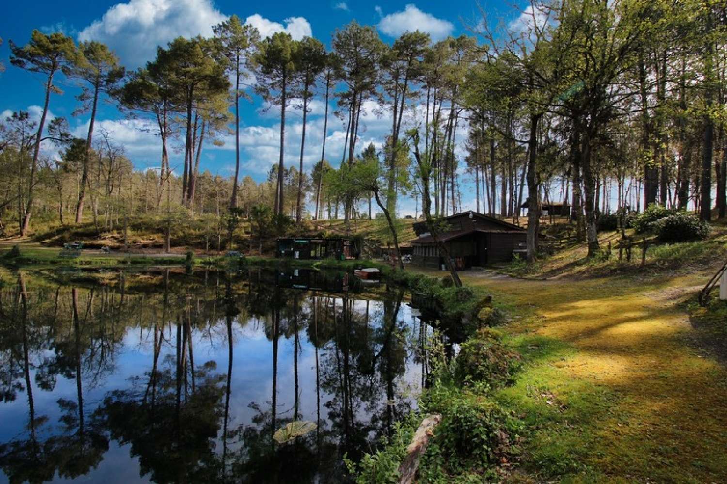  à vendre propriété Villandraut Gironde 1