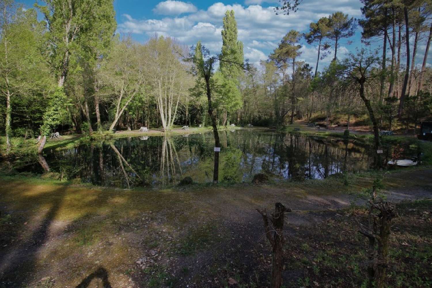 en venta finca rústica Villandraut Gironde 2
