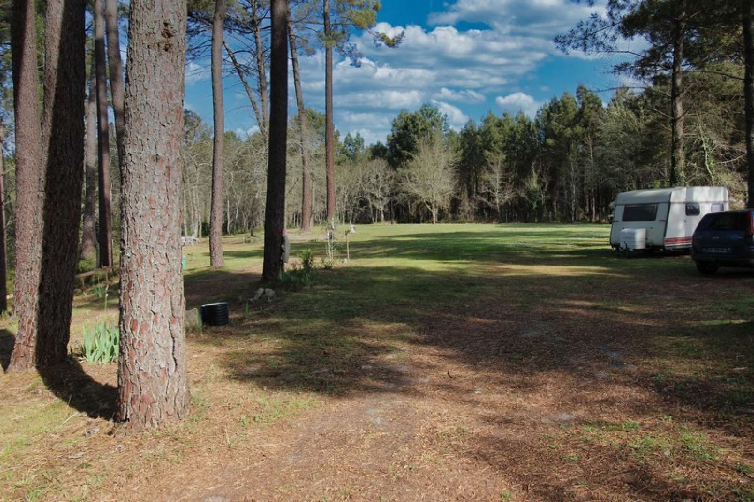  à vendre propriété Villandraut Gironde 4
