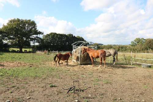 Ambillou-Château Maine-et-Loire boerderij foto 7067610