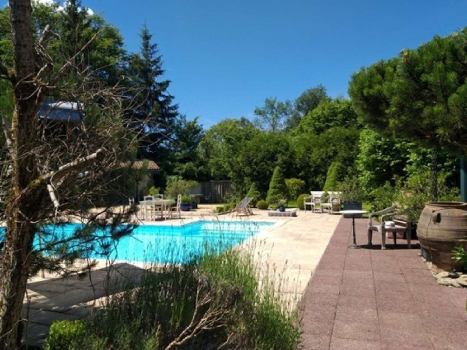  à vendre ferme Badonviller Meurthe-et-Moselle 5