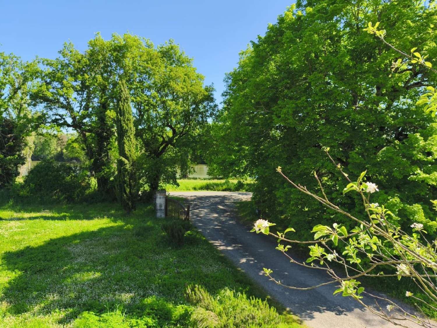 te koop boerderij Bruniquel Tarn-et-Garonne 7