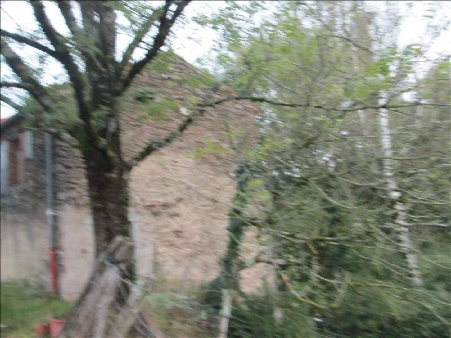  for sale farm Castres Tarn 7