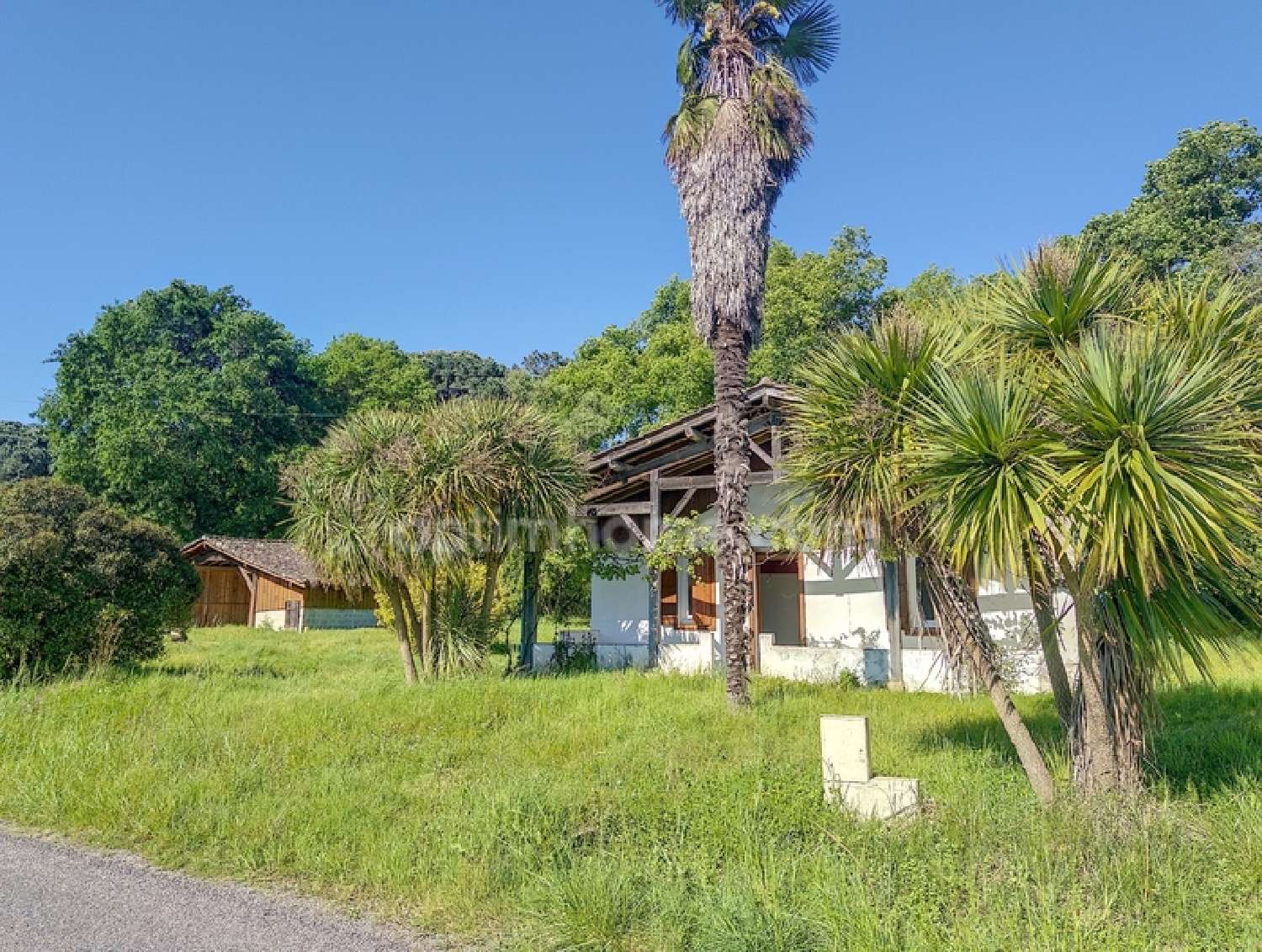  for sale farm Créon-d'Armagnac Landes 1